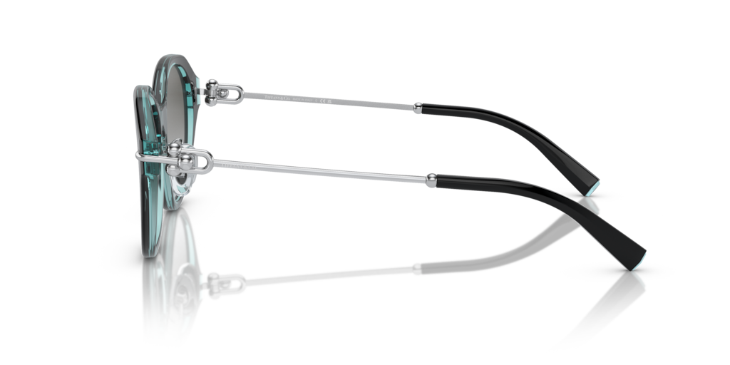 Tiffany TF4210D 82853C 54 Güneş Gözlükleri