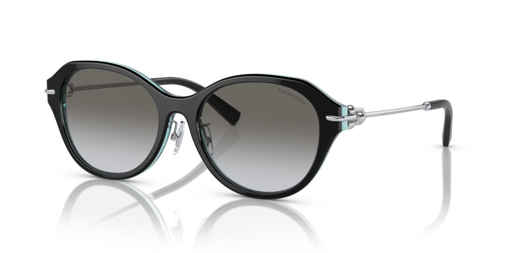 Tiffany TF4210D 82853C 54 Güneş Gözlükleri