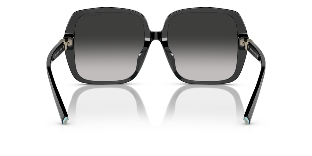 Tiffany TF4211D 80013C 58 Güneş Gözlükleri