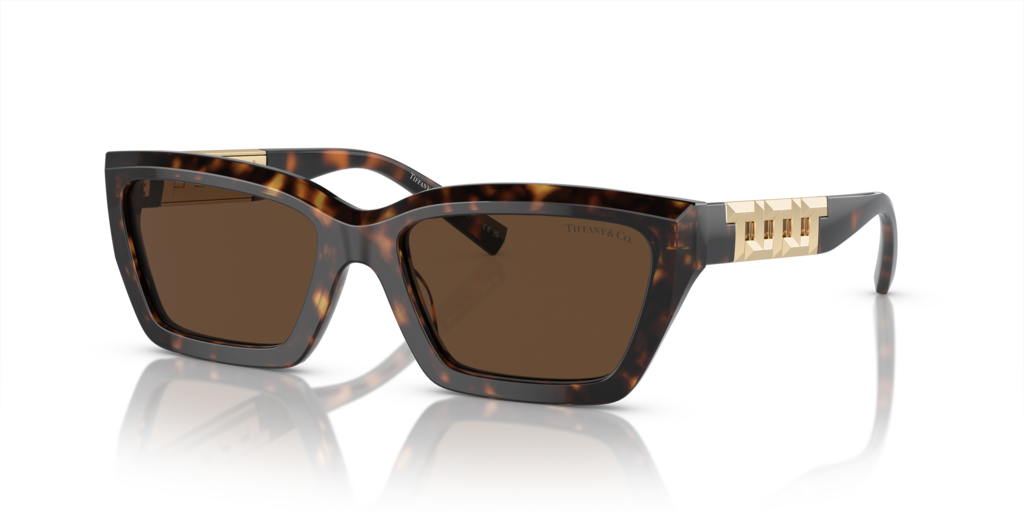Tiffany TF4213 80153G 54 Güneş Gözlükleri