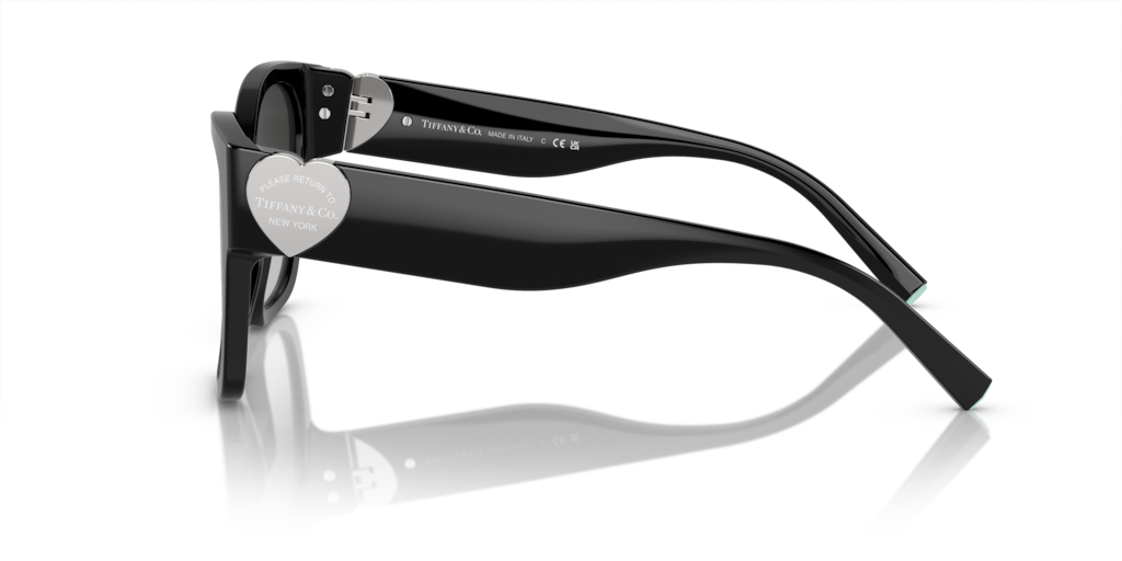 Tiffany TF4216 80013C 54 Güneş Gözlükleri