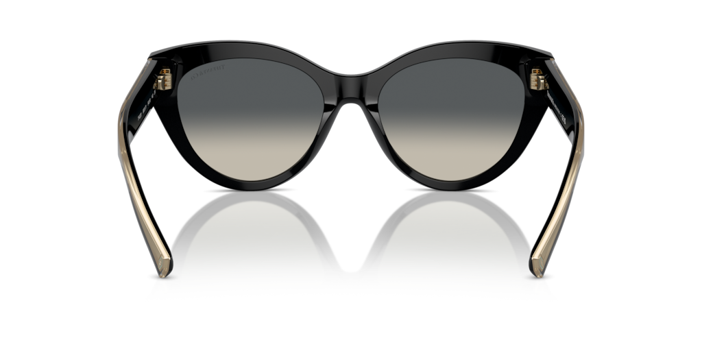 Tiffany TF4220 800171
