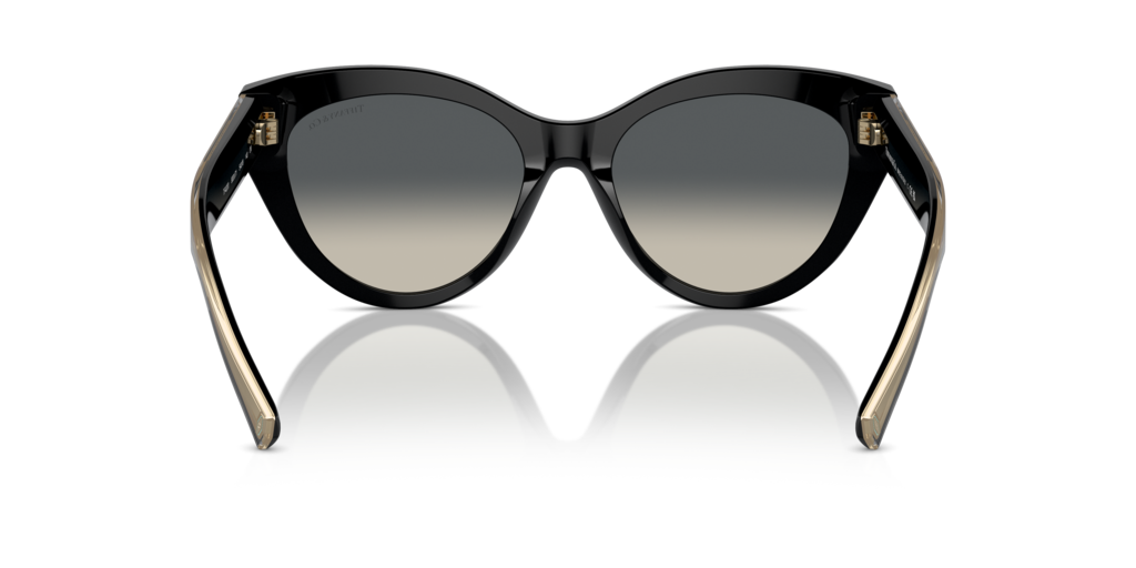 Tiffany TF4220 800171