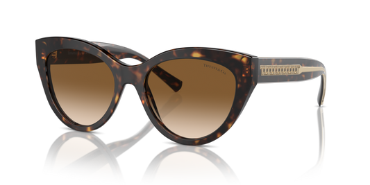 Tiffany TF4220 801551 - 54 - Güneş Gözlükleri