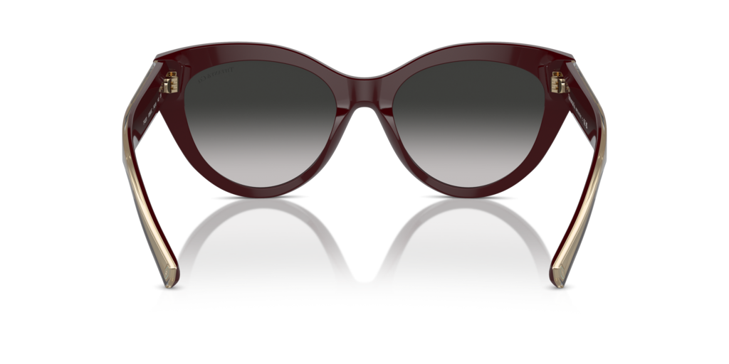 Tiffany TF4220 83893C