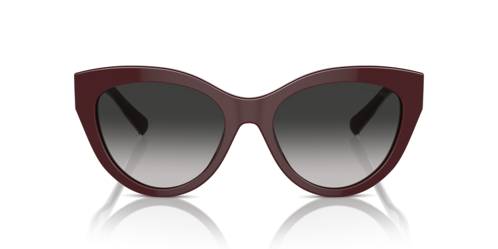 Tiffany TF4220 83893C