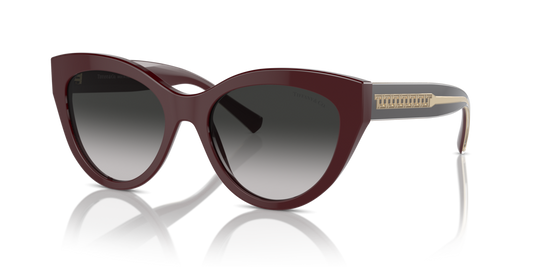 Tiffany TF4220 83893C - 54 - Güneş Gözlükleri