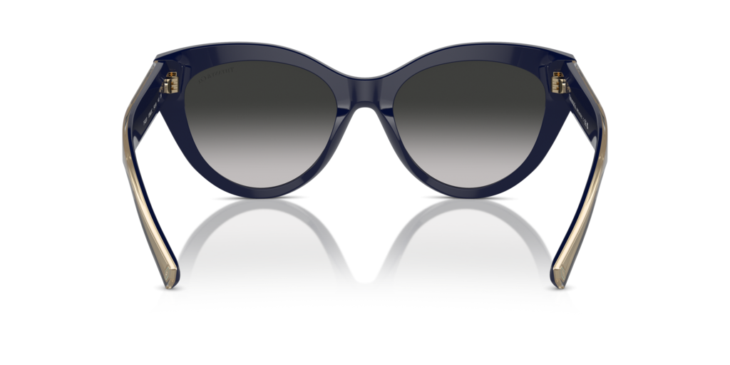 Tiffany TF4220 83963C - 54 - Güneş Gözlükleri