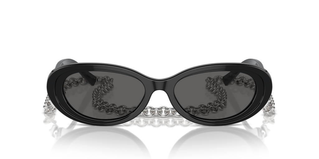 Tiffany TF4221 8001S4 54 Güneş Gözlükleri