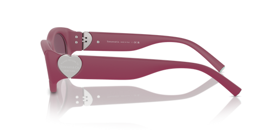 Tiffany TF4222U 8416AK - 55 - Güneş Gözlükleri