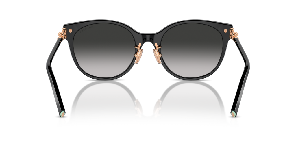 Tiffany TF4223D 80013C 54 Güneş Gözlükleri