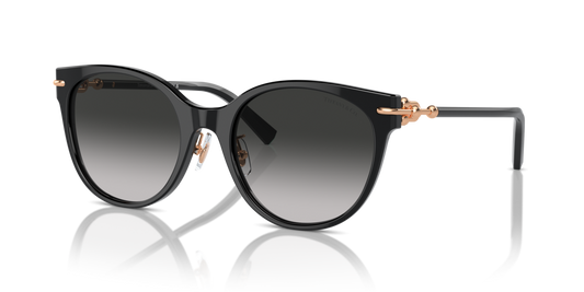 Tiffany TF4223D 80013C - 54 - Güneş Gözlükleri