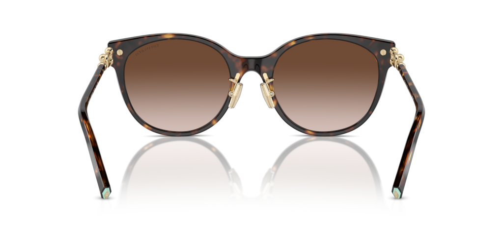 Tiffany TF4223D 80153B 54 Güneş Gözlükleri