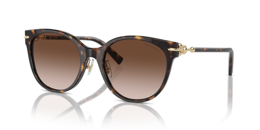 Tiffany TF4223D 80153B - 54 - Güneş Gözlükleri