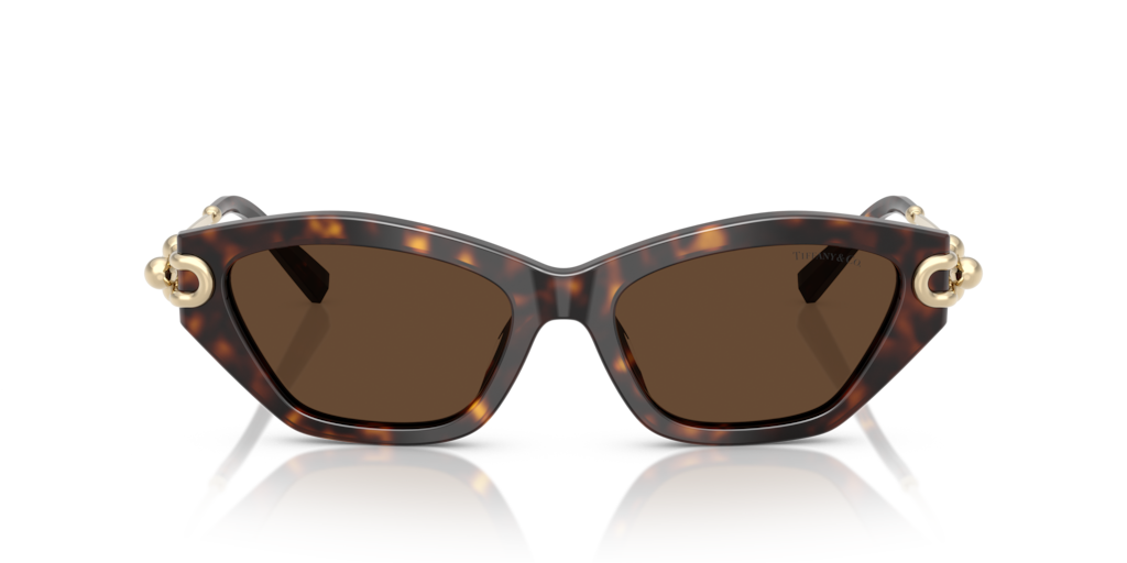 Tiffany TF4231U 80153G