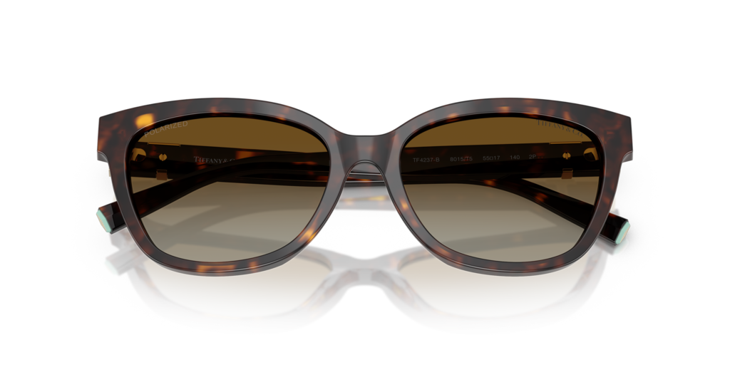 Tiffany TF4237B 8015T5