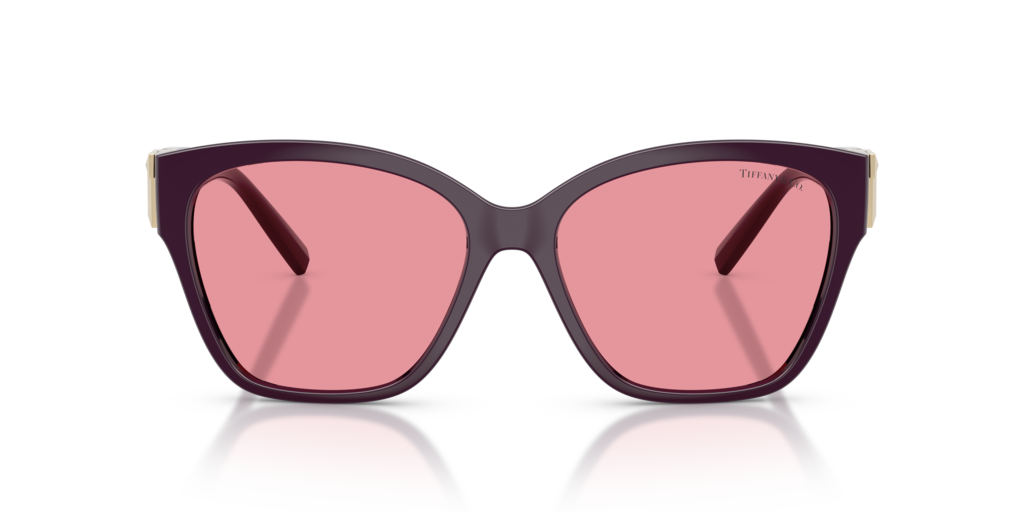 Tiffany TF4254U 84279L