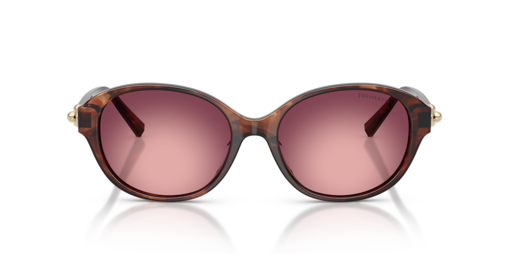 Tiffany TF4263D 84218H