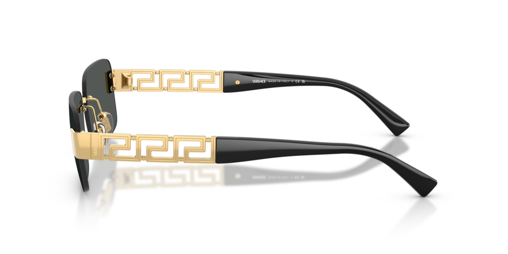 Versace VE2298 100287