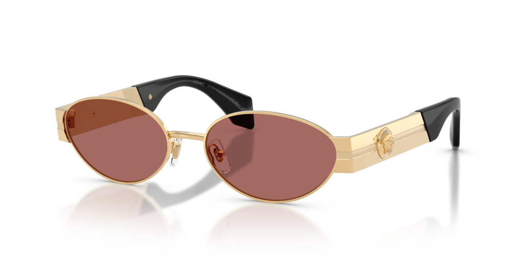 Versace VE2301