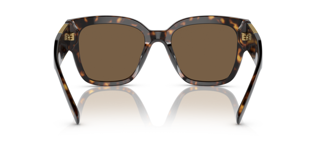 Versace VE4437U 108/73