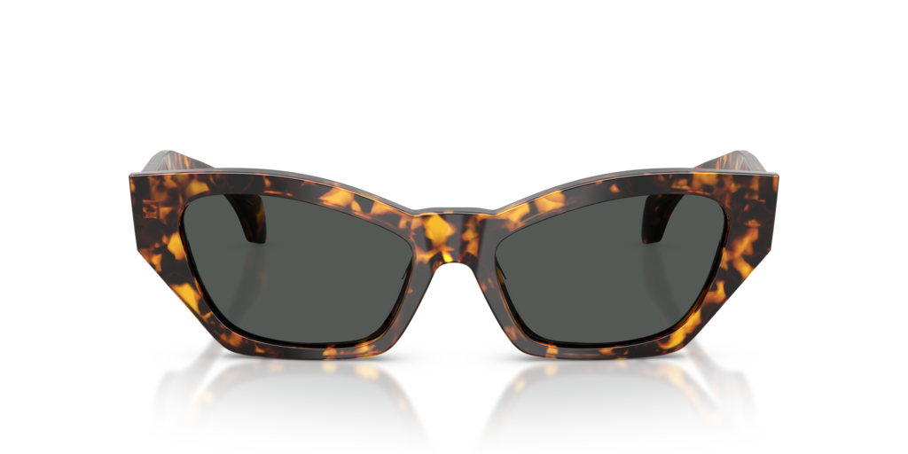 Versace VE4488U 551487