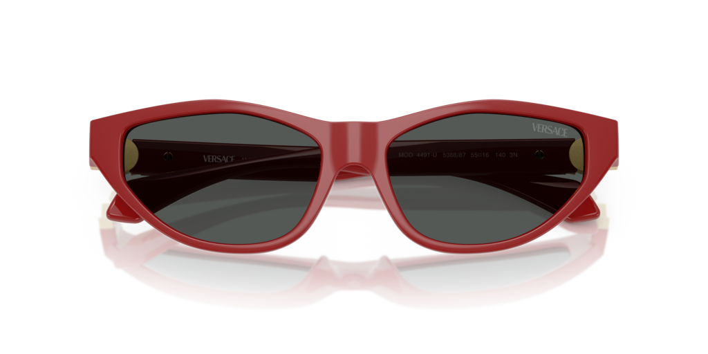 Versace VE4491U 538887