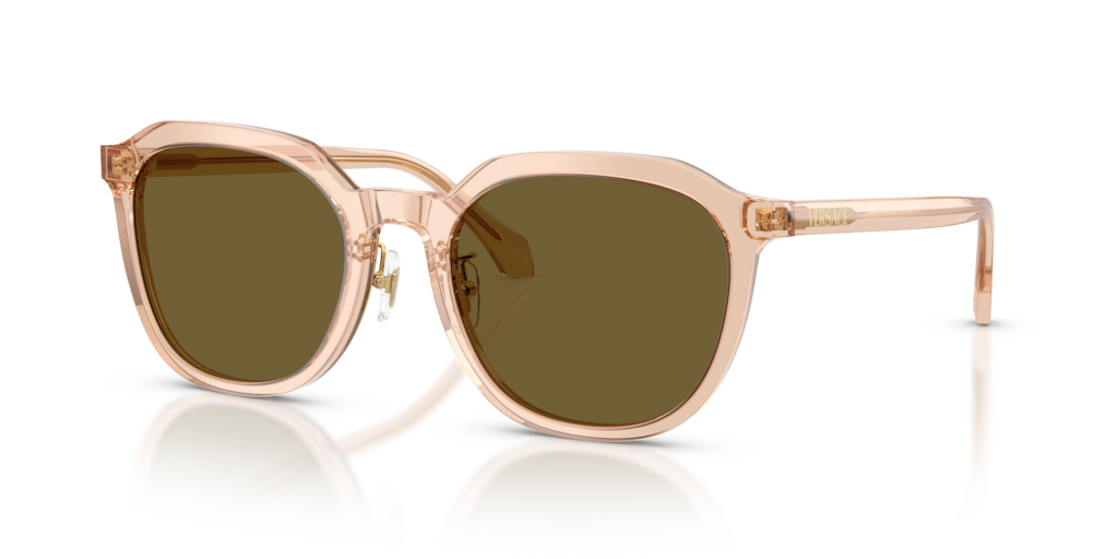 Versace VE4493D