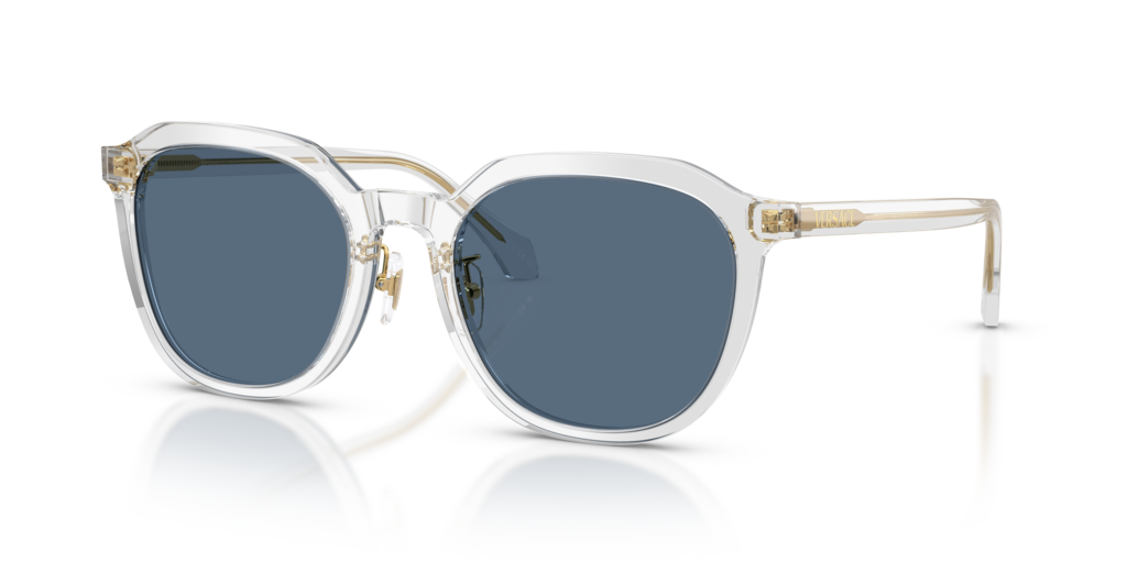 Versace VE4493D