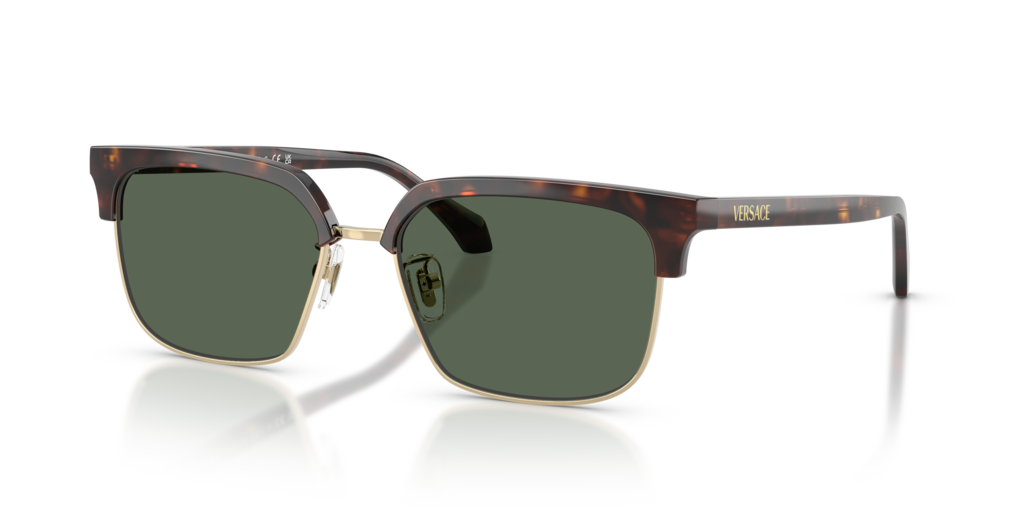 Versace VE4494D