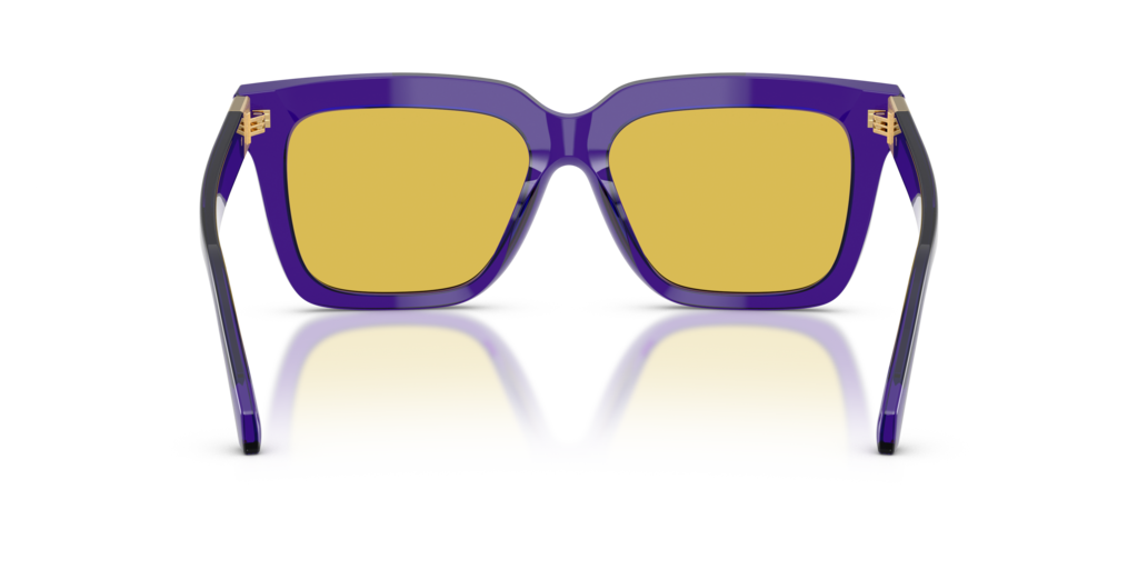 Versace VE4498 554585