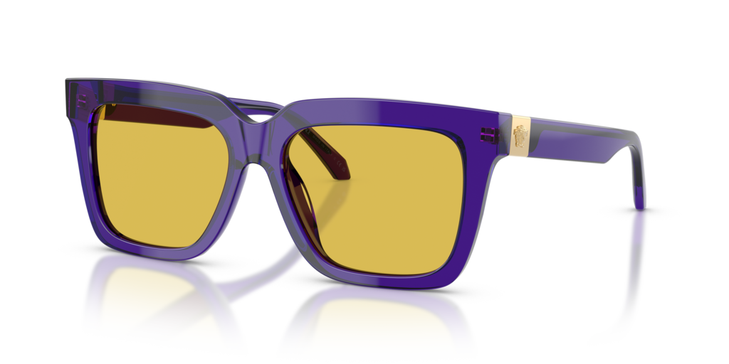 Versace VE4498