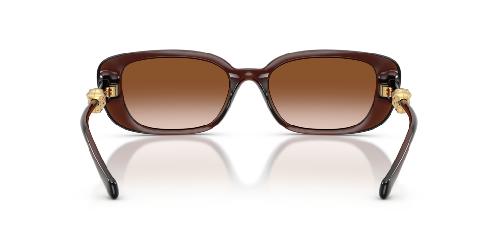 Versace VE4504D 533213