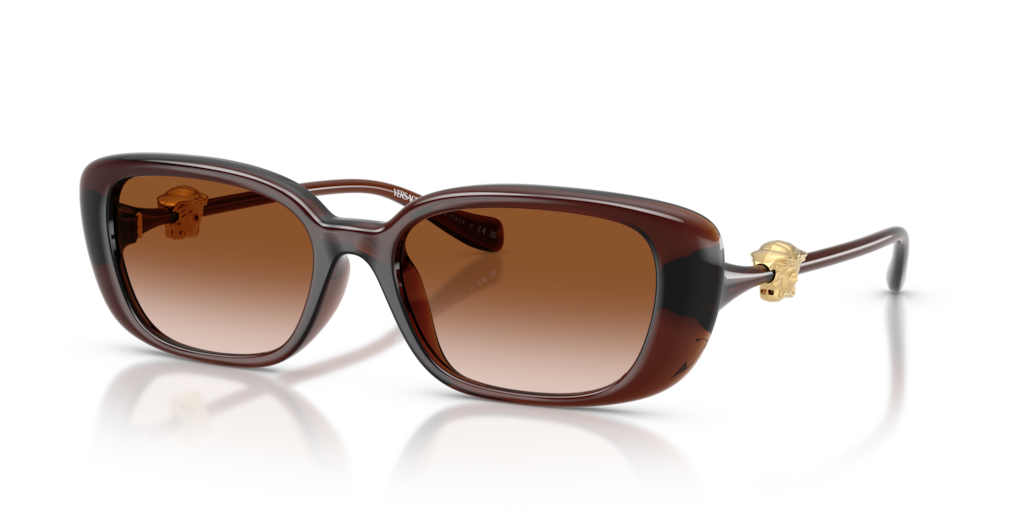 Versace VE4504D