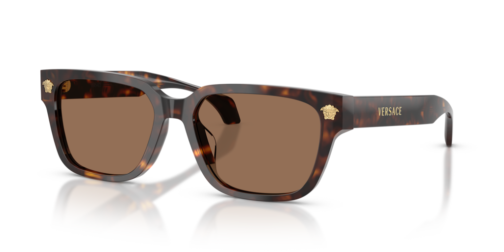 Versace VE4513D