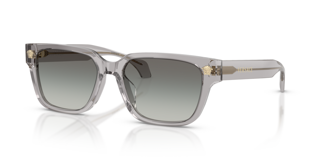 Versace VE4513D
