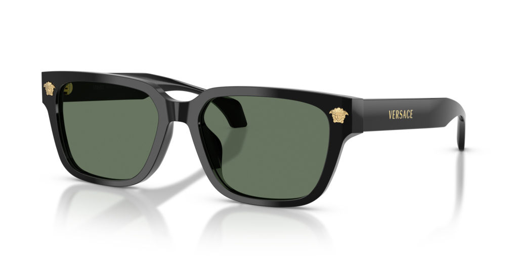Versace VE4513D