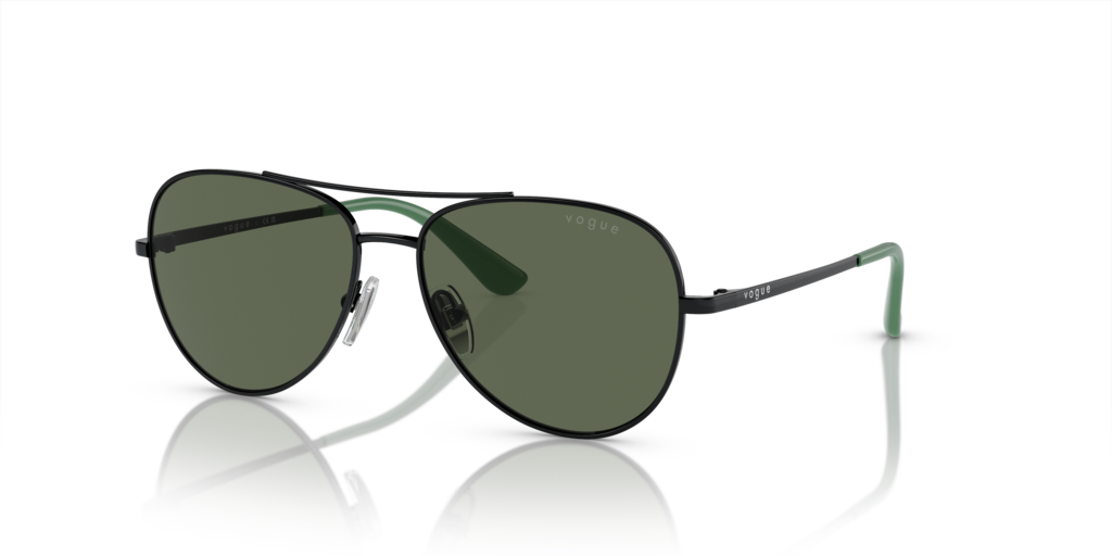 VJ1001
