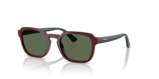 VJ2025