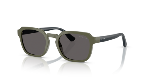 VJ2025