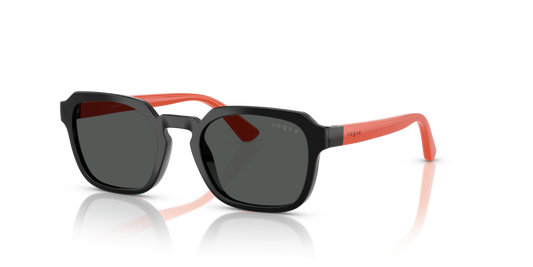 VJ2025