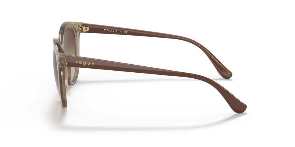 Vogue VO5427S 294013