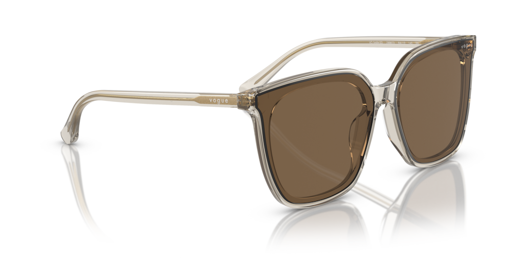 Vogue VO5499SD 299873