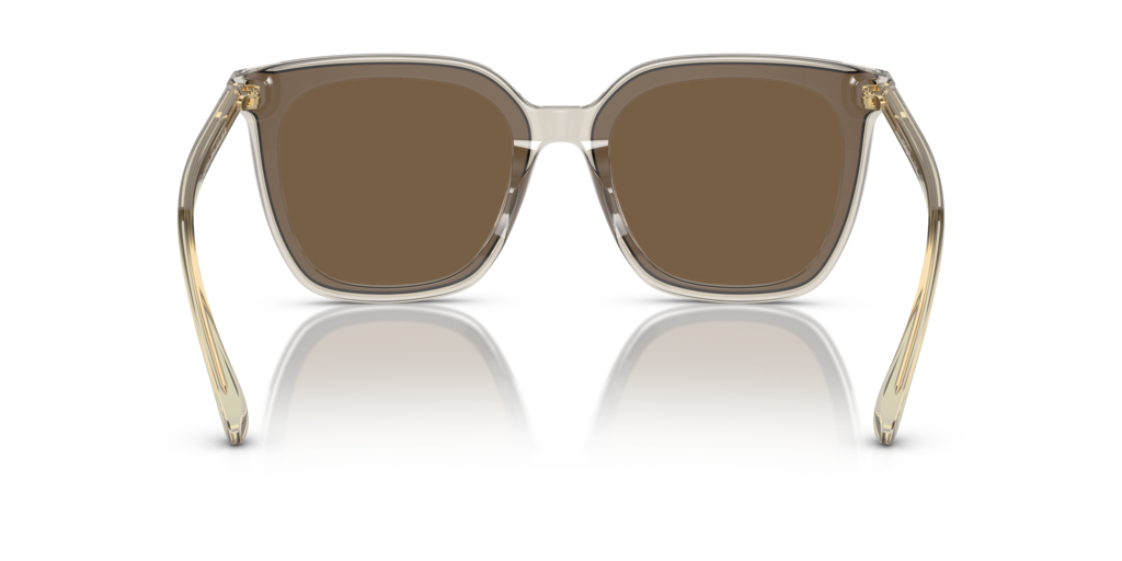Vogue VO5499SD 299873
