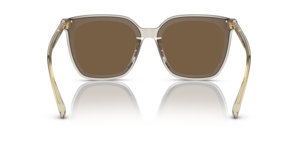Vogue VO5499SD 299873