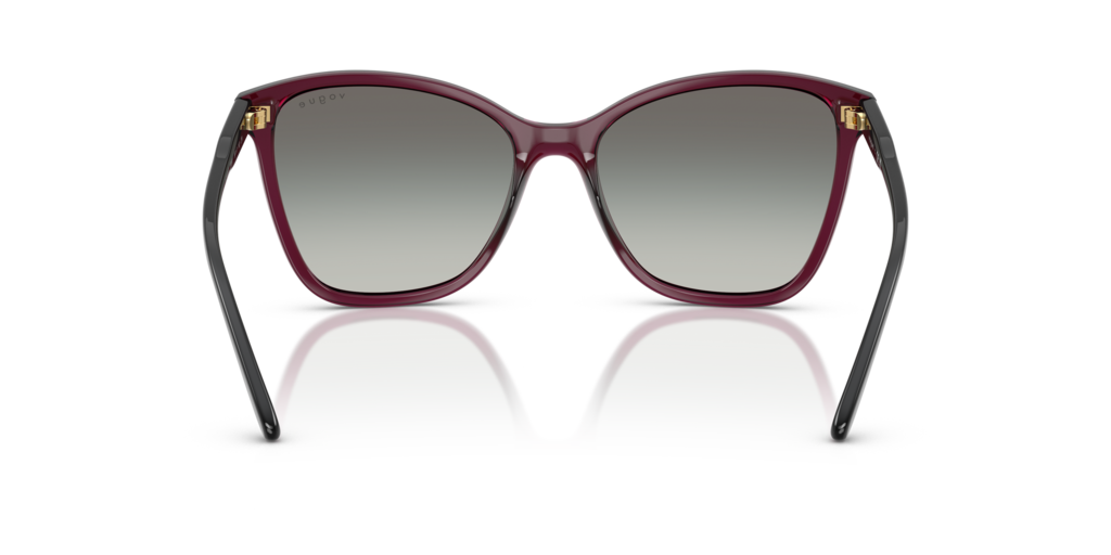 Vogue VO5520S 298911
