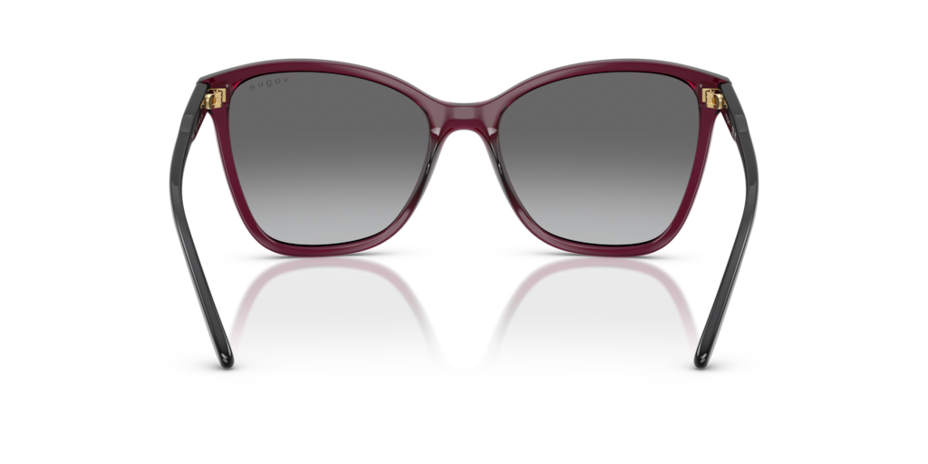 Vogue VO5520S 298911