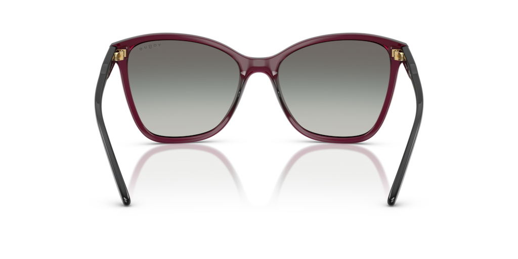 Vogue VO5520S 298911