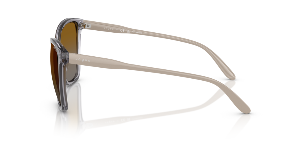 Vogue VO5520S 3099T5