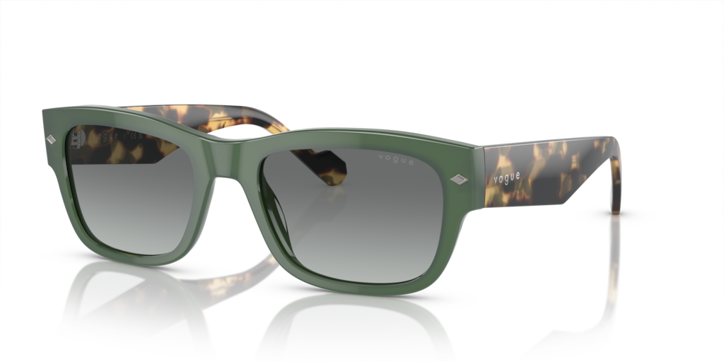 Vogue VO5530S